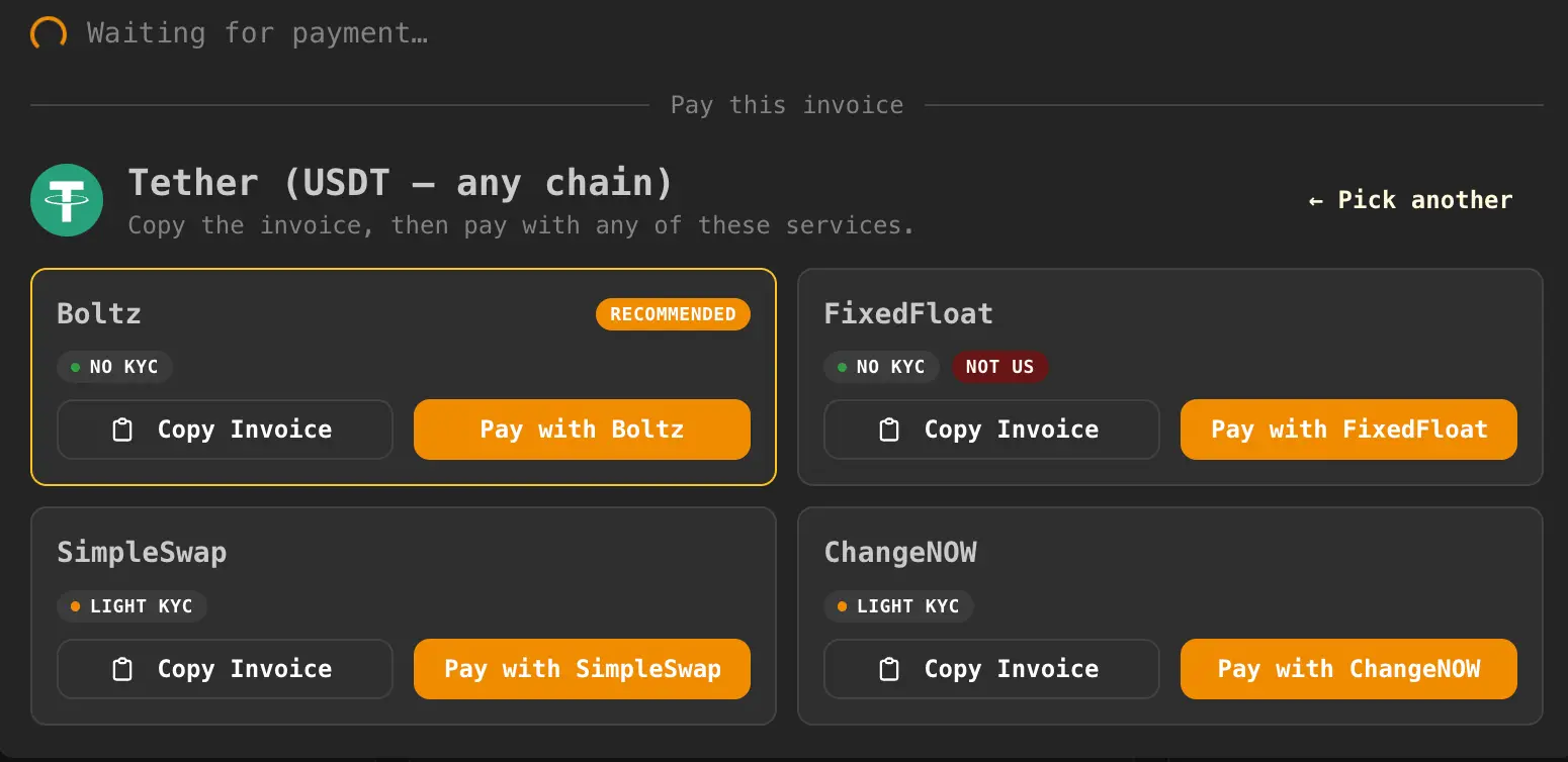 PayInvoiceWizard after a customer chooses Tether (USDT): copy the same Lightning invoice, then open a recommended provider.