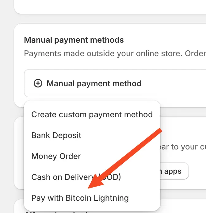 Select "Pay with Bitcoin Lightning" from the available payment methods