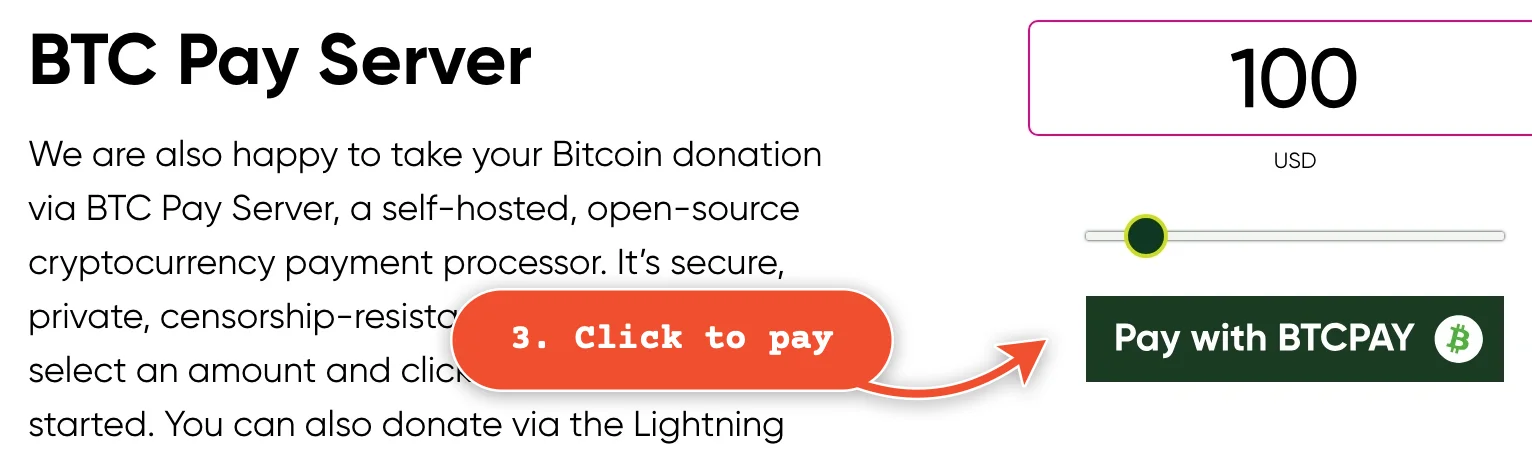 Click 'Pay with BTCPay'