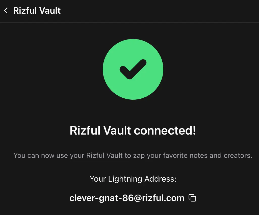 Success! Your Rizful Vault is now connected