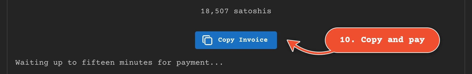 Click 'Copy Invoice', then pay it from any Lightning wallet