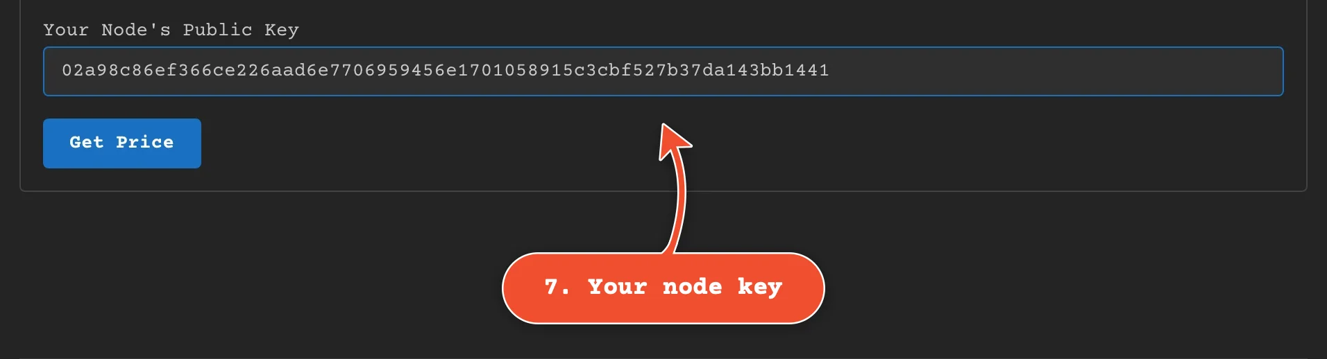 Paste your node's full public key