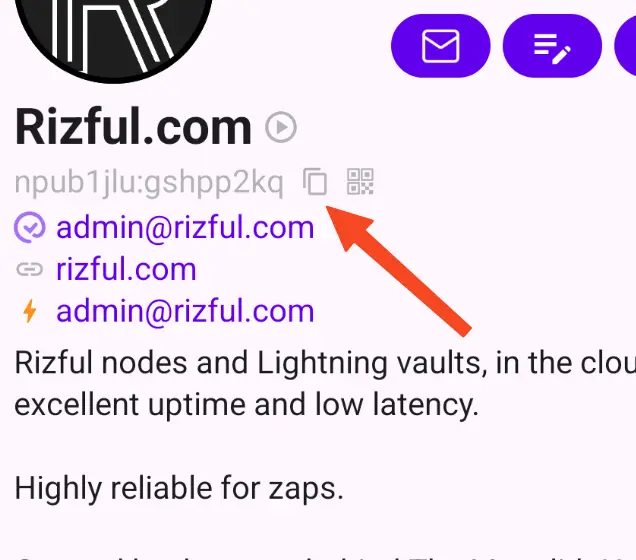 Copy your Nostr public key from Amethyst (the  address)