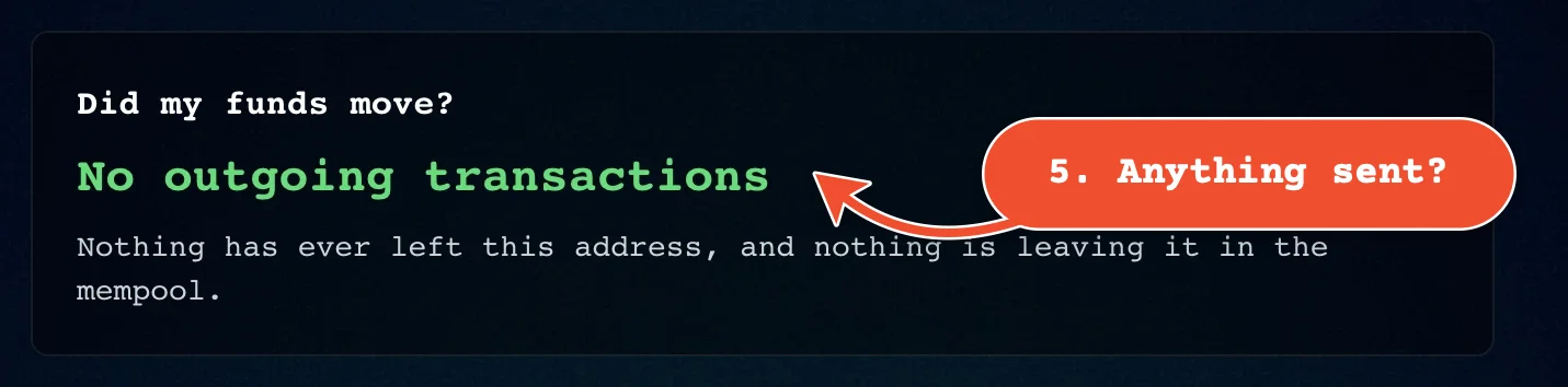 'No outgoing transactions': nothing has ever left this address