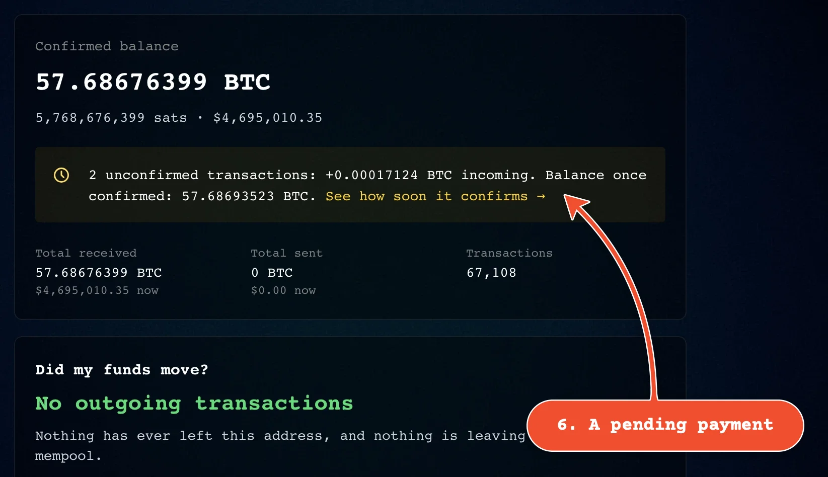 Click 'See how soon it confirms' to check a pending payment