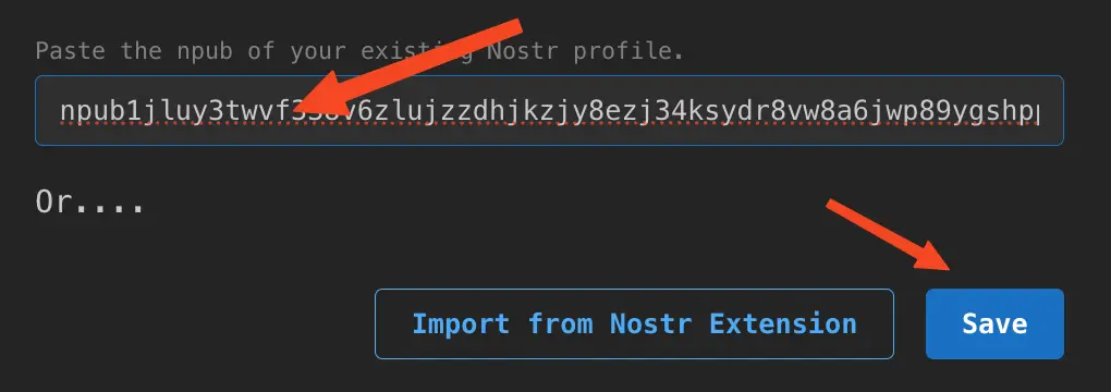 Paste your public key from Damus into Rizful