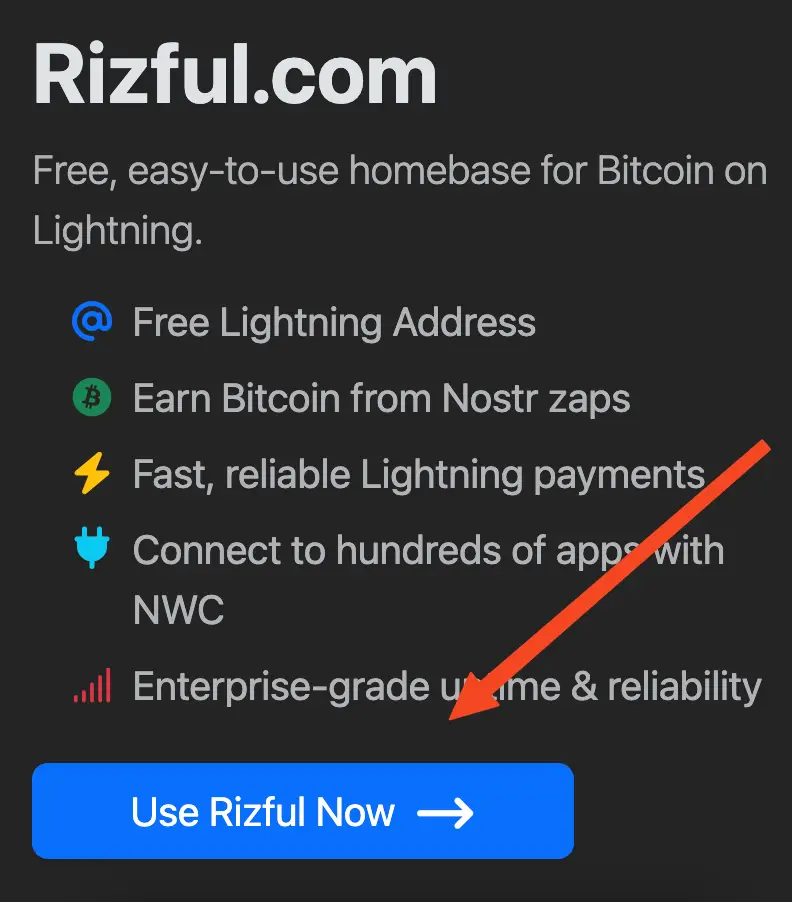 The 'Use Rizful Now' button, in full glory.